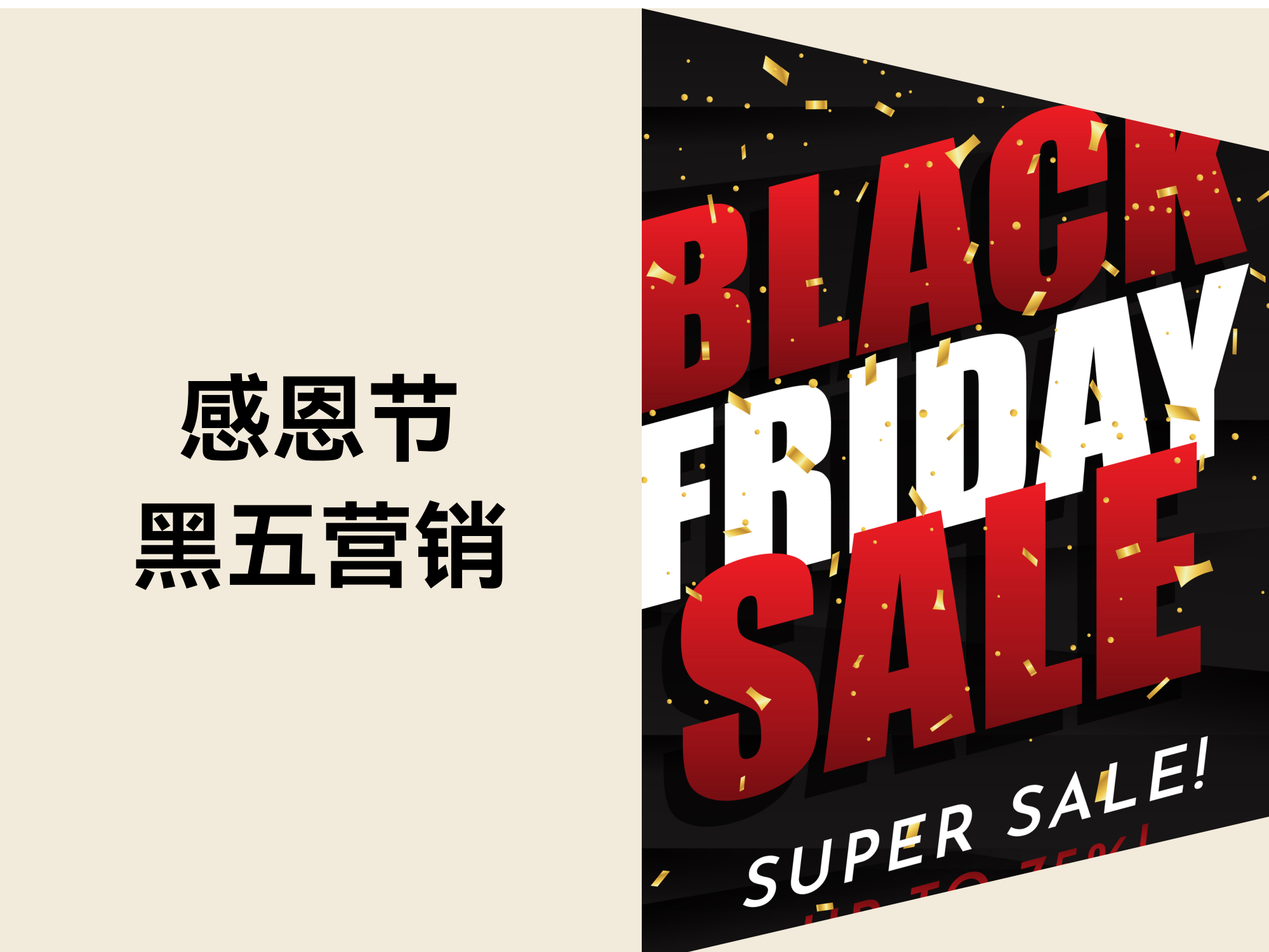 感恩节黑五狂欢倒计时：自力站运营年终大促营销节奏攻略！