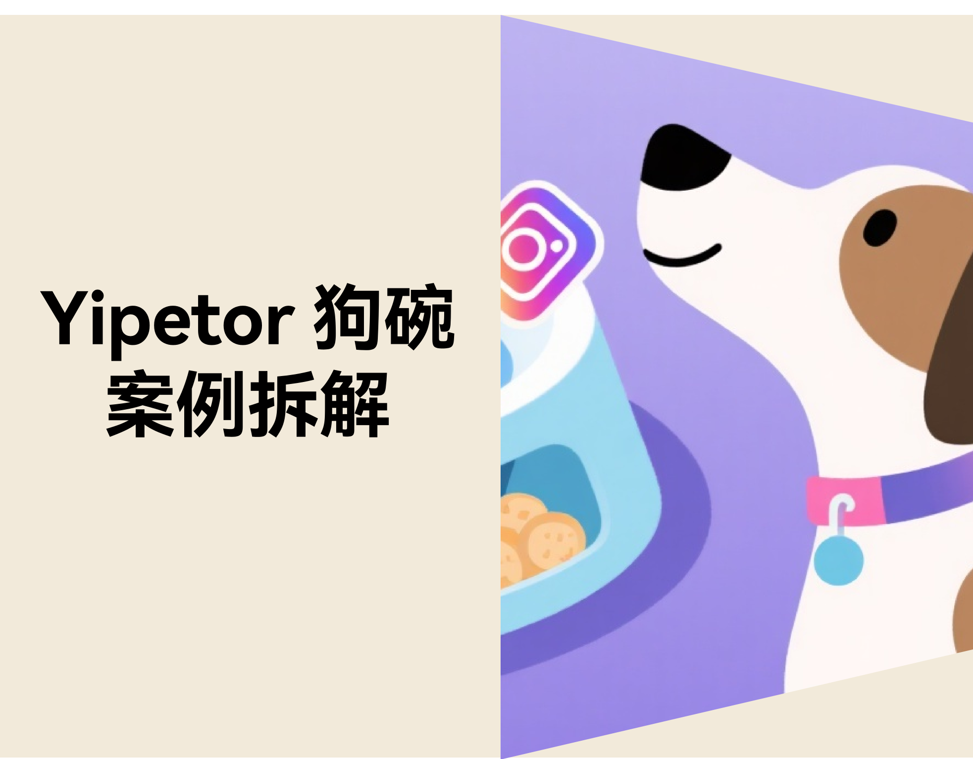 一个狗碗 3个月卖出 93 万美金：Yipetor 怎样在 TikTok 做出宠物爆品