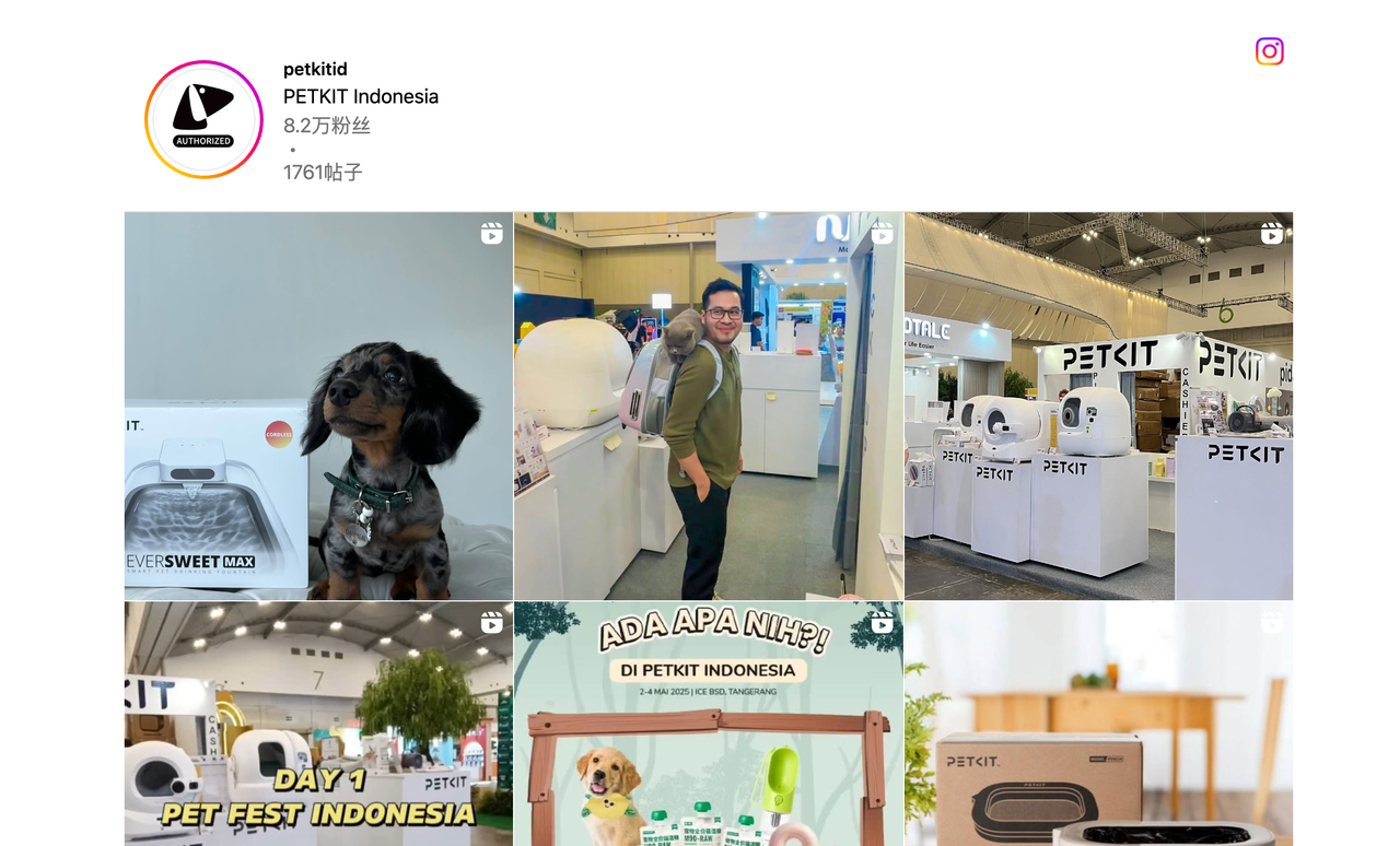 自力站设计深度外地化-1