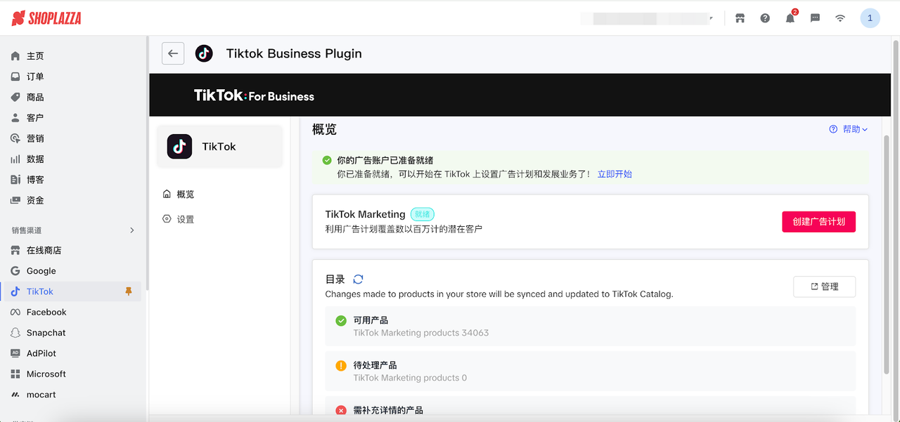 tiktok与自力站同步运营