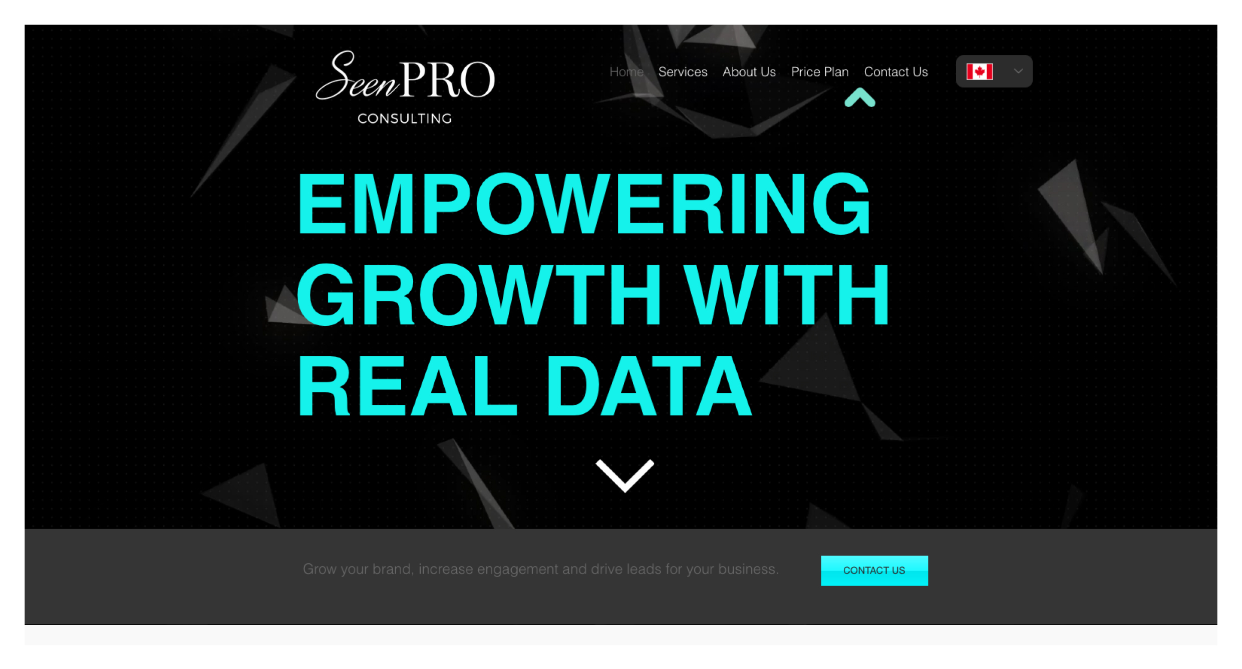 跨境自力站建站平台与电商解决计划 ｜STAKE中国官方网站 Shoplazza